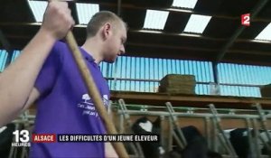Alsace : les difficultés d'un jeune éleveur