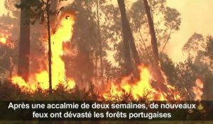 Incendies au Portugal: des brasiers actifs dans tout le pays