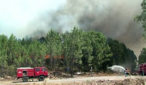 Le Portugal peine à maîtriser les feux de forêt