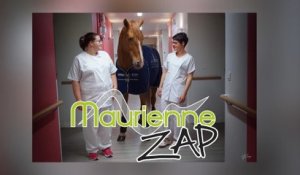 Maurienne Zap # 349