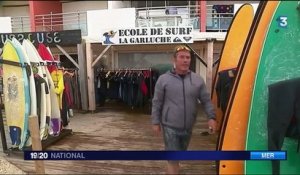 Landes : les écoles de surf font le plein