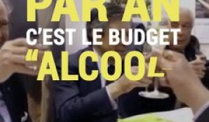 328 euros par an, c’est le budget alcool des Français en 2016