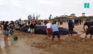 Des centaines de personnes se mobilisent pour sauver une baleine échouée
