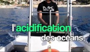 Pollution de la mer : un constat alarmant