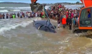 Des centaines de personnes aident une baleine échouée (Brésil)
