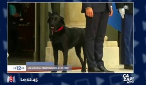 Ironie du sort : le chien des Macron vient... de la ville de François Hollande !