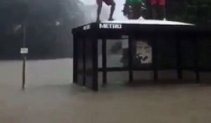 Trois jeunes s’amusent à sauter sur un abribus pendant les inondations aux Etats-Unis