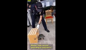 Ce policier a une peur bleue des tortues... Trop drole