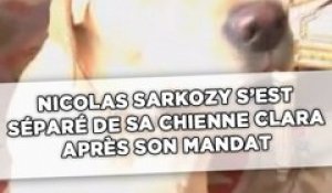 Nico­las Sarkozy n'a pas gardé sa chienne Clara après son départ de l'Elysée