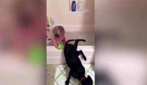 Ce bébé adore prendre son bain avec son chien !