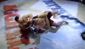 Un combattant MMA frappe l'arbitre