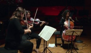 Mozart : Divertimento pour trio à cordes en mi bémol majeur K. 563 - Elina Buksha, Hélène Desaint, Astrig Siranossian
