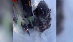 Un homme sauve un chiot coincé dans la neige !