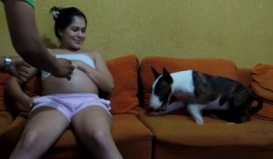 Une femme enceinte sécurisé par son chien !