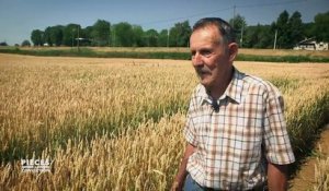 Terres agricoles : du blé ou du béton...