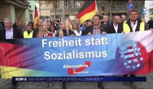 Allemagne : ces populistes de l'AfD qui haïssent Merkel, l'UE et les migrants