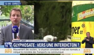 Glyphosate: "Quand on a un tel danger, on l'interdit", estime Yannick Jadot