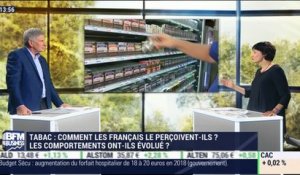 Quels sont les perceptions et les comportements liés au tabagisme en France ? - 28/09