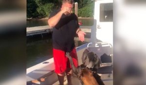 Un chien pousse son maître dans l'eau !