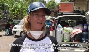 Volcan/Bali: ils bravent le danger pour sauver des animaux