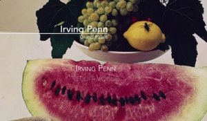 Irving Penn reçoit Vogue