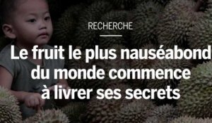 Le fruit le plus nauséabond du monde commence à livrer ses secrets