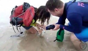 Ces touristes débiles essaient de prendre un selfie avec un bébé requin
