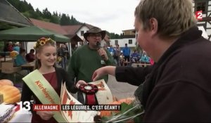 En Allemagne, la folie des légumes XXL