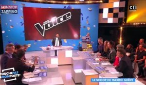 TPMP : The Voice senior bientôt sur TF1 ? Maxime Guény donne des détails (Vidéo)