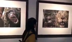 Des africains comparés à des animaux lors d'une exposition raciste en Chine !