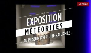 Des météorites comme s’il en pleuvait au Museum national d’histoire naturelle