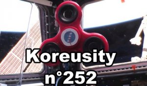 Koreusity n°252