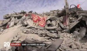 DOCUMENT FRANCE 2. "On en a fini avec eux" : dans les rues dévastées de Raqqa, libérée du joug de l'Etat islamique