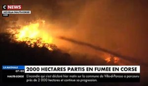 Violents incendies en Corse depuis hier: Près de 500 hectares brûlés sur la commune de Ville-di-Paraso