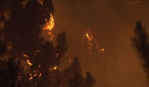 Corse: plus de 2.000 hectares brûlés en Balagne
