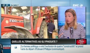 Dupin Quotidien : Quelles alternatives au glyphosate ? - 25/10