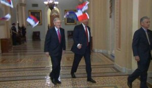 Trump se fait jeter des drapeaux russes à la figure