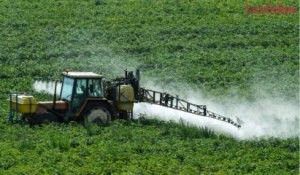 Le glyphosate mais… qu’est-ce que c’est ?