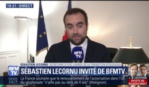 Exclusions chez LR: "Un suicide politique" pour Sébastien Lecornu