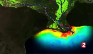 Le Golfe du Mexique, un paradis empoisonné par les pesticides