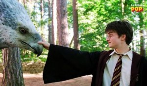 Harry Potter : quel personnage détestez-vous le plus ?