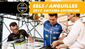 Riders vs. Eels / Coureurs vs. Anguilles - 2017 Tour de France Saitama Critérium
