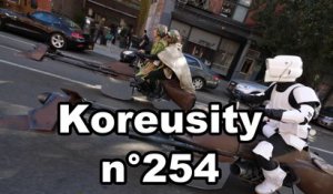 Koreusity n°254