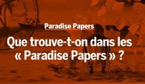 Que trouve-t-on dans les "Paradise Papers" ?
