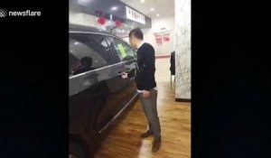 Le vendeur de voitures de l'année en Chine