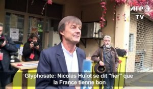 Glyphosate : Nicolas Hulot "fier" que la France "tienne bon"