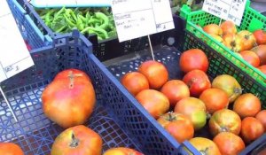 Précisions avec le référent au commerce de Martigues et des producteurs du marché.