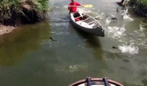 Quand les poissons se jettent directement dans ton canoe... Peche miraculeuse