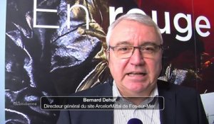 Bernard Dehut, directeur général du site ArcelorMittal sur Fos
