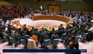 Syrie : Veto russe à l'ONU sur les enquêtes internationales